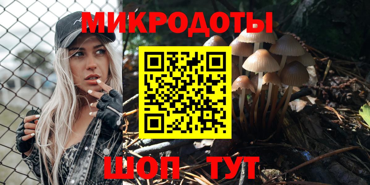 Куйбышев  Псилоцибиновые грибы прущие грибы  Вход с VPN 