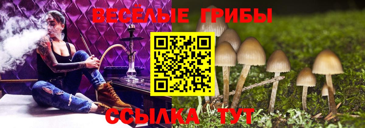Героин Куйбышев